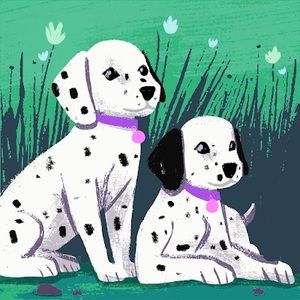 Meet your Posher, Ronnie